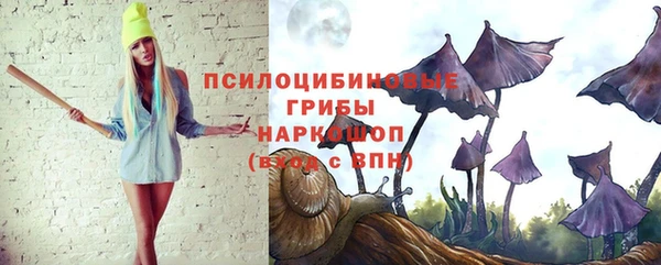 гашик Абдулино