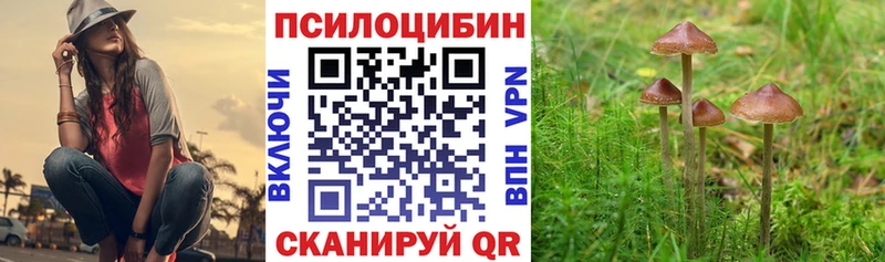 Галлюциногенные грибы мицелий Котовск